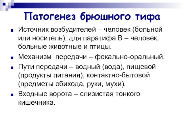 Патогенез брюшного тифа Источник возбудителей – человек (больной или носитель),