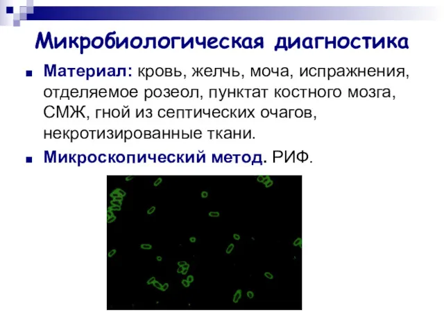 Микробиологическая диагностика Материал: кровь, желчь, моча, испражнения, отделяемое розеол, пунктат