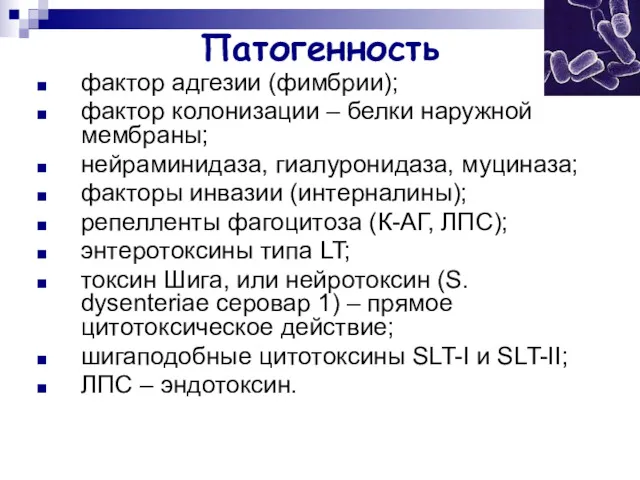 Патогенность фактор адгезии (фимбрии); фактор колонизации – белки наружной мембраны;