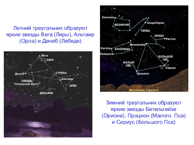 Зимний треугольник образуют яркие звезды Бетельгейзе (Ориона), Процион (Малого Пса)