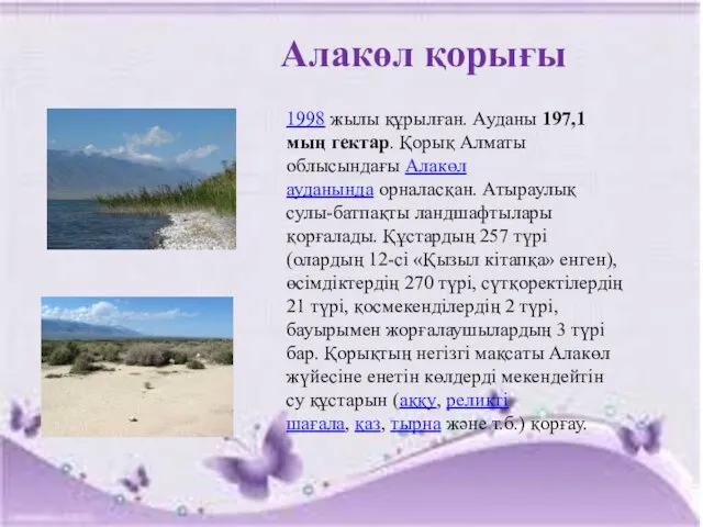 Алакөл қорығы 1998 жылы құрылған. Ауданы 197,1 мың гектар. Қорық