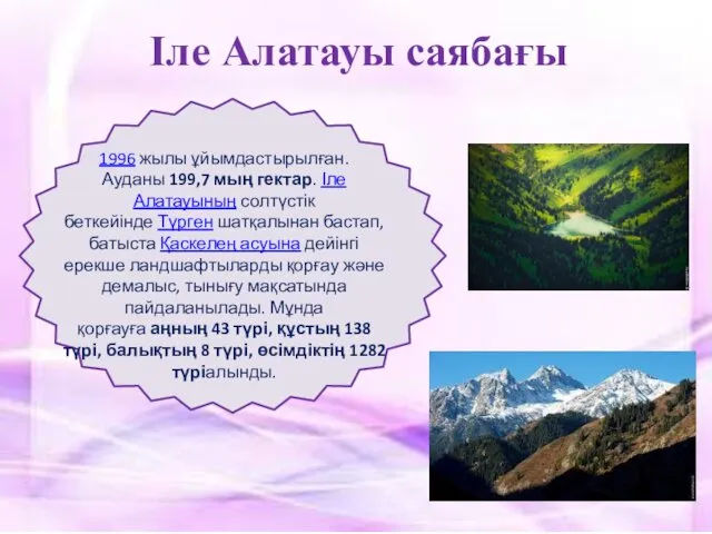 Іле Алатауы саябағы 1996 жылы ұйымдастырылған. Ауданы 199,7 мың гектар.