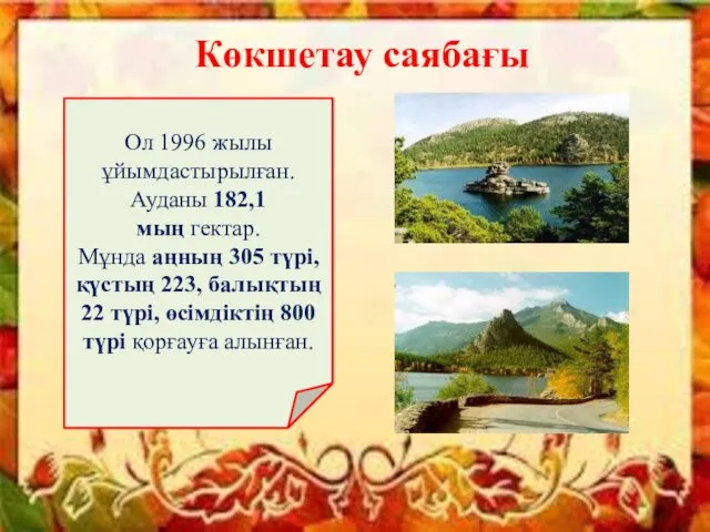 Көкшетау саябағы Ол 1996 жылы ұйымдастырылған. Ауданы 182,1 мың гектар.