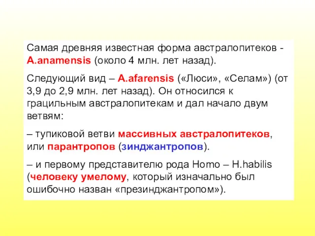 Самая древняя известная форма австралопитеков - A.anamensis (около 4 млн.