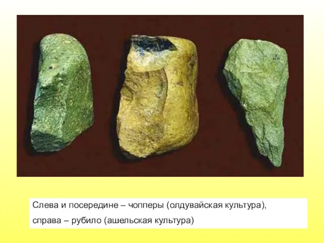 Слева и посередине – чопперы (олдувайская культура), справа – рубило (ашельская культура)