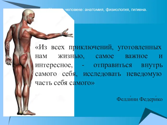 Науки о человеке: анатомия, физиология, гигиена. «Из всех приключений, уготовленных