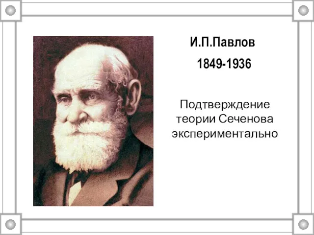 И.П.Павлов 1849-1936 Подтверждение теории Сеченова экспериментально