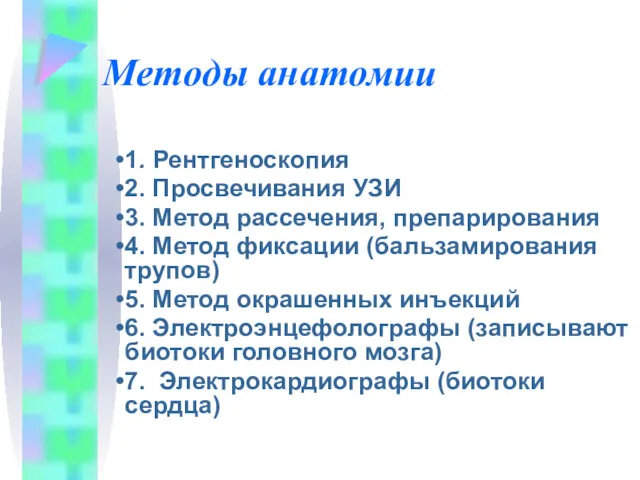 Методы анатомии 1. Рентгеноскопия 2. Просвечивания УЗИ 3. Метод рассечения,