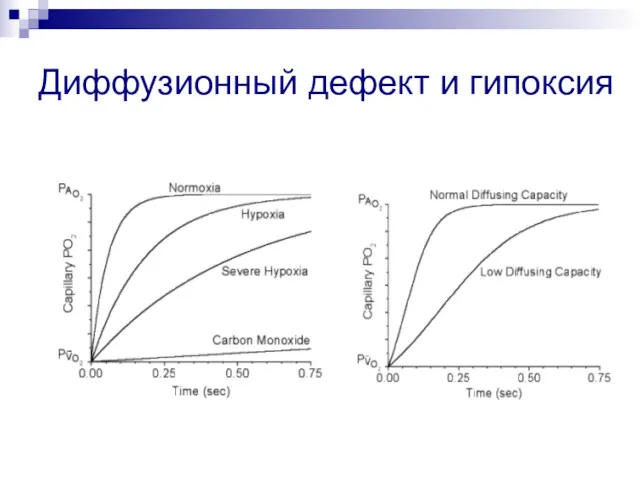 Диффузионный дефект и гипоксия