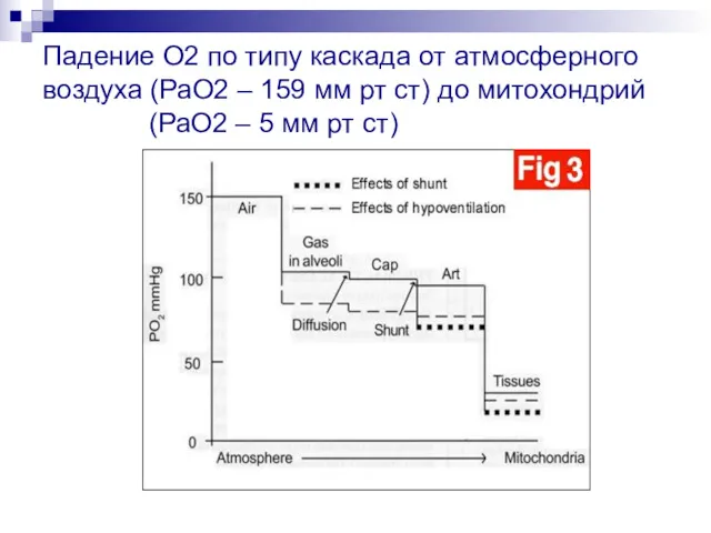 Падение О2 по типу каскада от атмосферного воздуха (РаО2 –