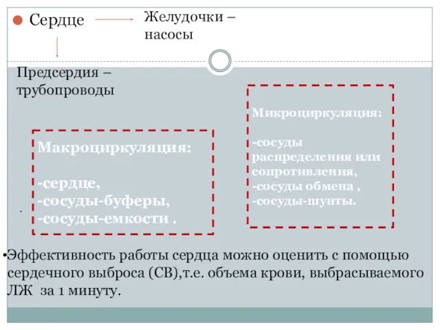 Микроциркуляция: -сосуды распределения или сопротивления, -сосуды обмена , -сосуды-шунты. Сердце