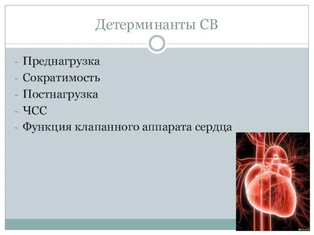 Детерминанты СВ Преднагрузка Сократимость Постнагрузка ЧСС Функция клапанного аппарата сердца