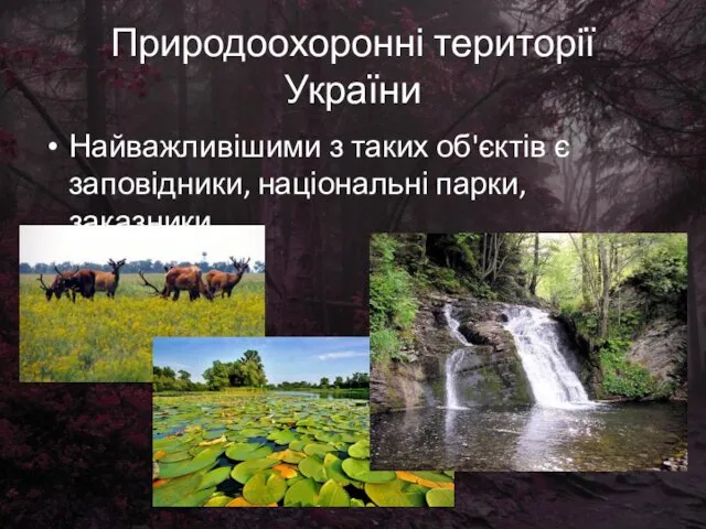 Природоохоронні території України Найважливішими з таких об'єктів є заповідники, національні парки, заказники.