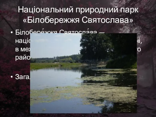 Національний природний парк «Білобережжя Святослава» Білобере́жжя Святосла́ва — національний природний парк в Україні,