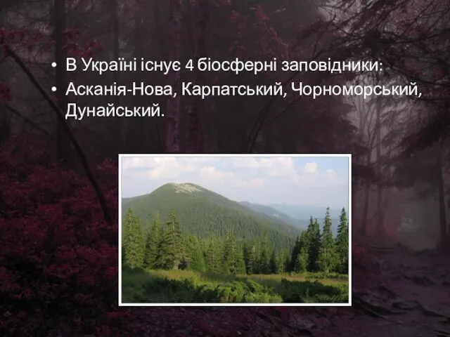 В Україні існує 4 біосферні заповідники: Асканія-Нова, Карпатський, Чорноморський, Дунайський.