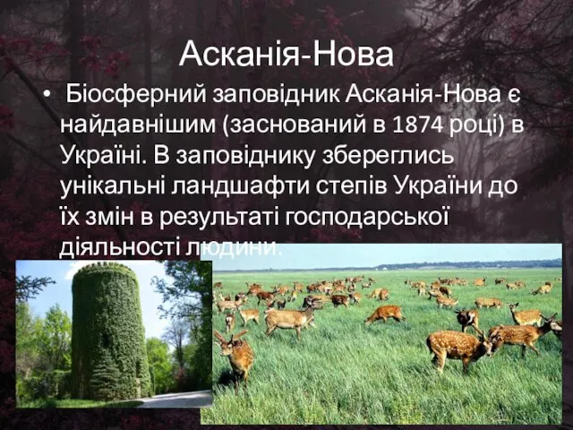 Асканія-Нова Біосферний заповідник Асканія-Нова є найдавнішим (заснований в 1874 році) в Україні. В