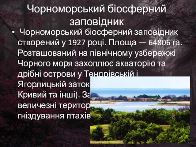 Чорноморський біосферний заповідник Чорноморський біосферний заповідник створений у 1927 році. Площа — 64806