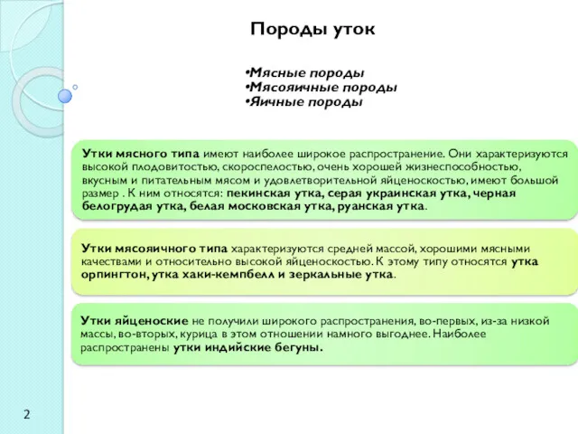 Утки мясного типа имеют наиболее широкое распространение. Они характеризуются высокой