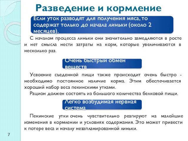 Разведение и кормление С началом процесса линьки они значительно замедляются