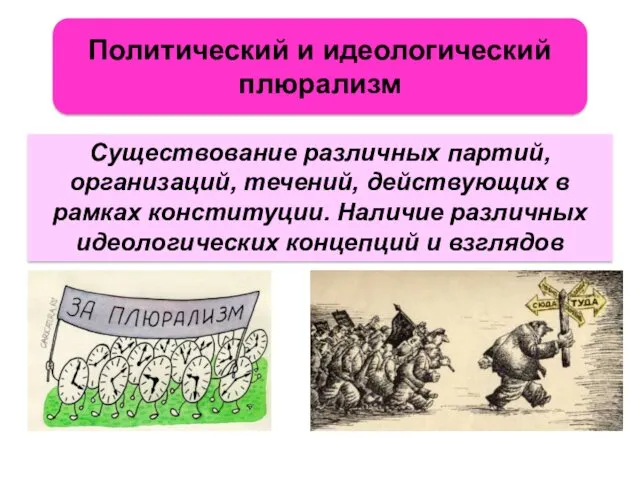 Существование различных партий, организаций, течений, действующих в рамках конституции. Наличие различных идеологических концепций и взглядов