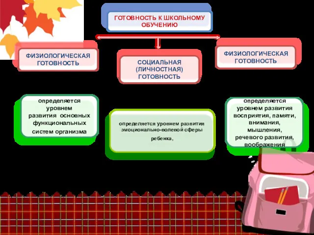 ГОТОВНОСТЬ К ШКОЛЬНОМУ ОБУЧЕНИЮ ФИЗИОЛОГИЧЕСКАЯ ГОТОВНОСТЬ ФИЗИОЛОГИЧЕСКАЯ ГОТОВНОСТЬ СОЦИАЛЬНАЯ (ЛИЧНОСТНАЯ)