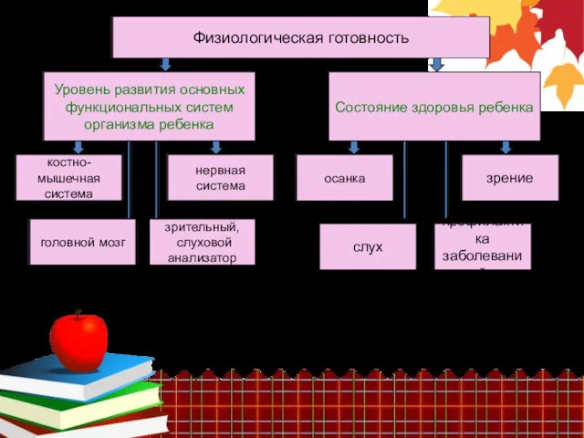 Физиологическая готовность Уровень развития основных функциональных систем организма ребенка Состояние