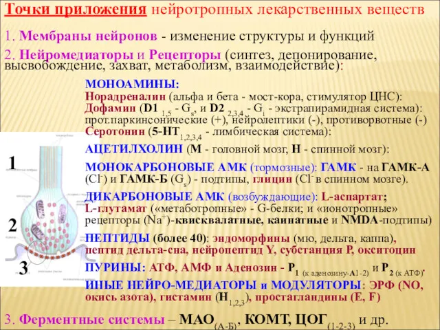 Точки приложения нейротропных лекарственных веществ 1. Мембраны нейронов - изменение