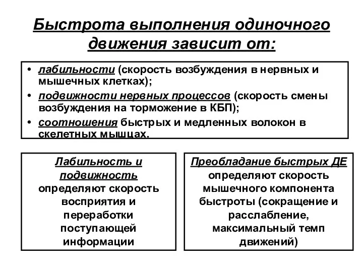 Быстрота выполнения одиночного движения зависит от: Лабильность и подвижность определяют