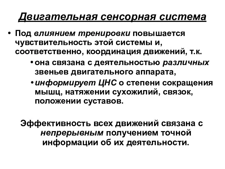 Двигательная сенсорная система Под влиянием тренировки повышается чувствительность этой системы