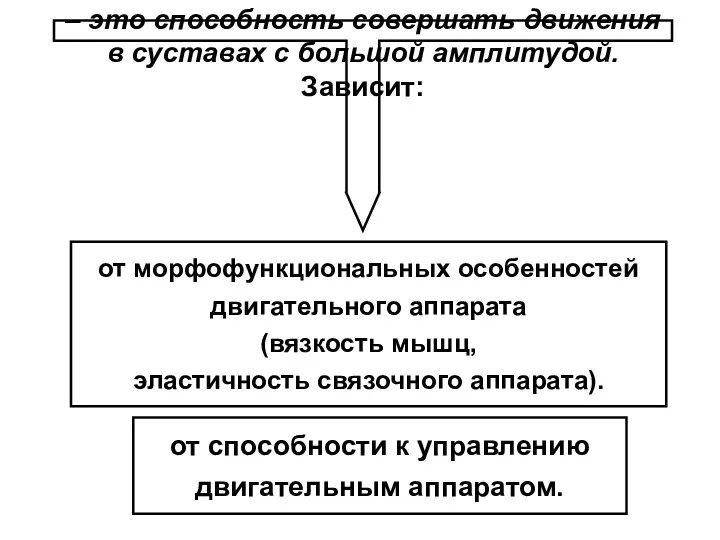 от морфофункциональных особенностей двигательного аппарата (вязкость мышц, эластичность связочного аппарата).