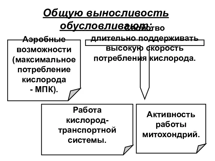 Общую выносливость обусловливают: Аэробные возможности (максимальное потребление кислорода - МПК).