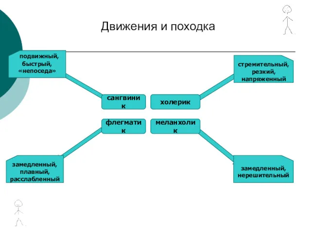 . Движения и походка сангвиник холерик флегматик меланхолик стремительный, резкий,