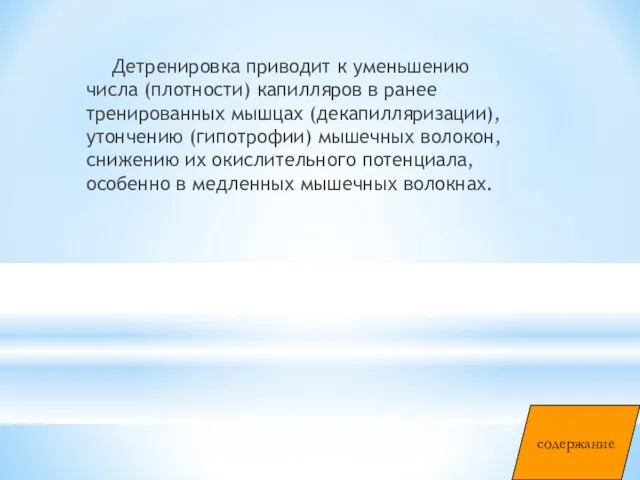 Детренировка приводит к уменьшению числа (плотности) капилляров в ранее тренированных