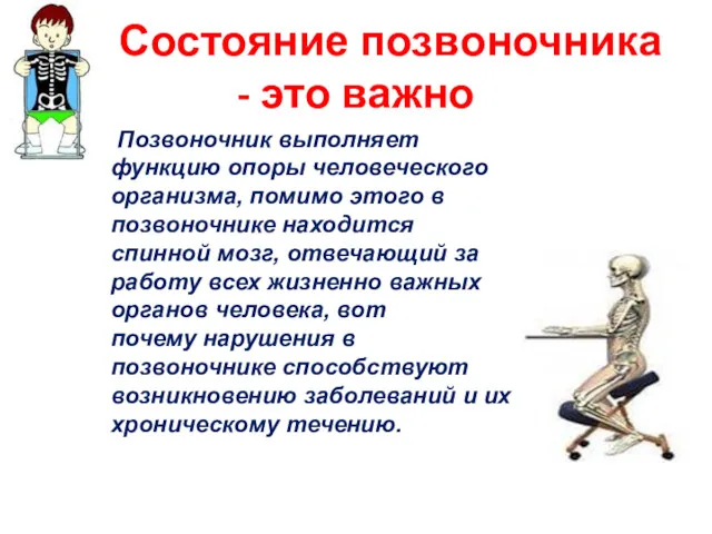 Состояние позвоночника - это важно Позвоночник выполняет функцию опоры человеческого