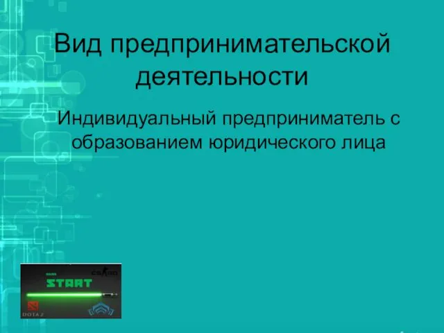 Вид предпринимательской деятельности Индивидуальный предприниматель с образованием юридического лица