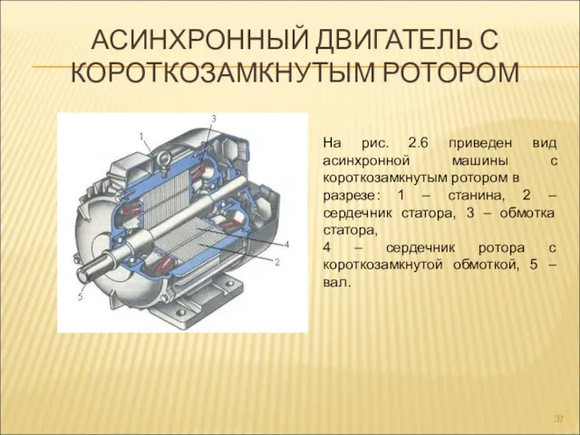 АСИНХРОННЫЙ ДВИГАТЕЛЬ С КОРОТКОЗАМКНУТЫМ РОТОРОМ На рис. 2.6 приведен вид