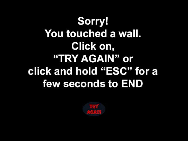 Sorry! You touched a wall. Click on, “TRY AGAIN” or