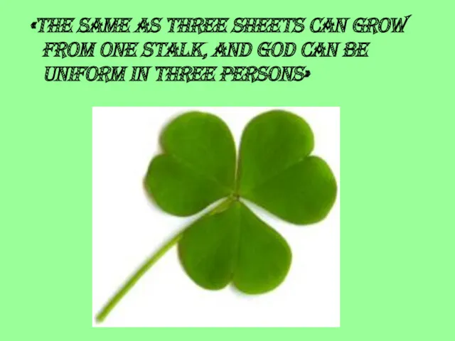 «The same as three sheets can grow from one stalk,