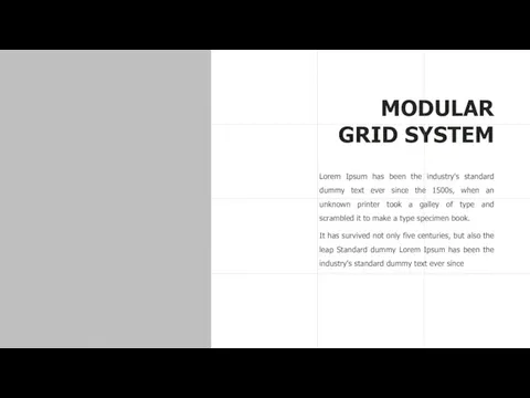 MODULAR GRID SYSTEM Lorem Ipsum has been the industry's standard