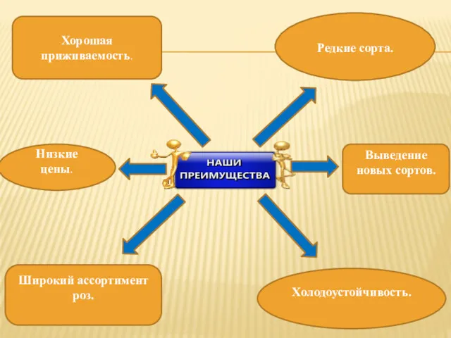 Широкий ассортимент роз. Редкие сорта. Выведение новых сортов. Холодоустойчивость. Хорошая приживаемость. Низкие цены.