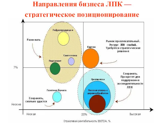 Направления бизнеса ЛПК — стратегическое позиционирование