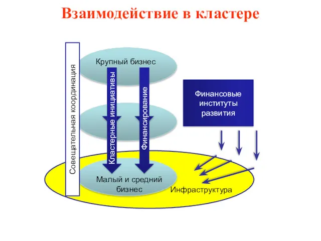 Инфраструктура Взаимодействие в кластере Кластерные инициативы Малый и средний бизнес