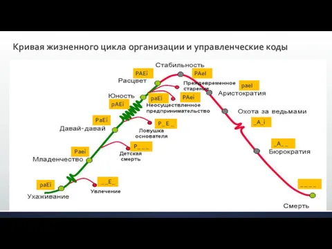 Кривая жизненного цикла организации и управленческие коды paEi _ _E_