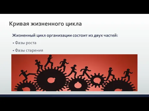 Кривая жизненного цикла Жизненный цикл организации состоит из двух частей: Фазы роста Фазы старения