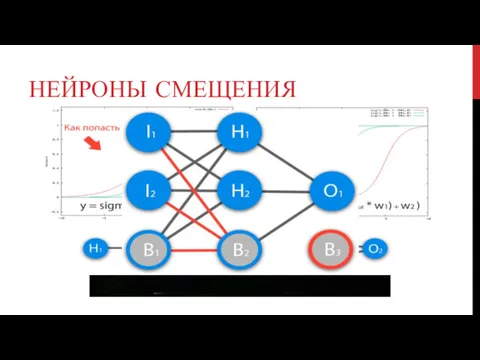 НЕЙРОНЫ СМЕЩЕНИЯ