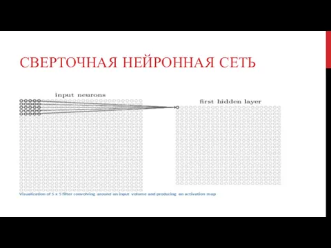 СВЕРТОЧНАЯ НЕЙРОННАЯ СЕТЬ