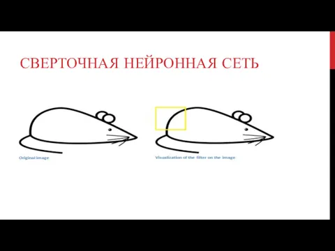 СВЕРТОЧНАЯ НЕЙРОННАЯ СЕТЬ