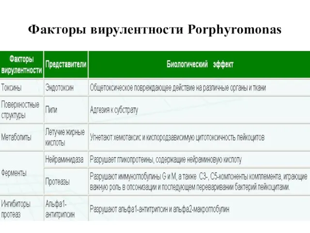 Факторы вирулентности Porphyromonas