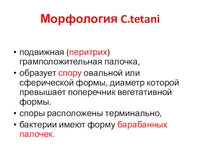 Морфология C.tetani подвижная (перитрих) грамположительная палочка, образует спору овальной или