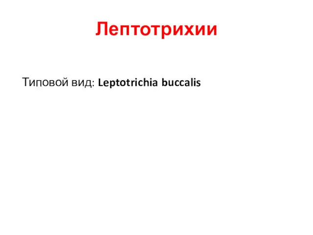 Лептотрихии Типовой вид: Leptotrichia buccalis